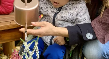 Peter podlewa wrzosy