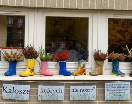 Wrzosy na parapecie przed wejściem do szkoły