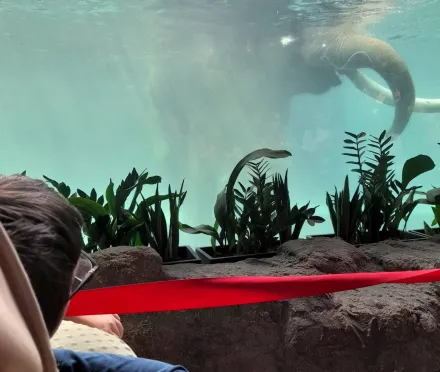 ZIELONA SZKOŁA Rogów