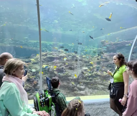 ZIELONA SZKOŁA Rogów