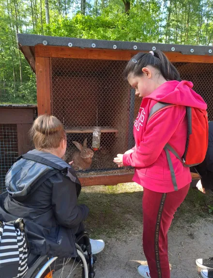 Dziewczynki oglądają królika, który siedzi w klatce.