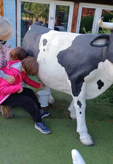 Uczennica doi krowę