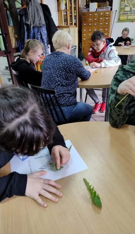 ZIELONA SZKOŁA Rogów