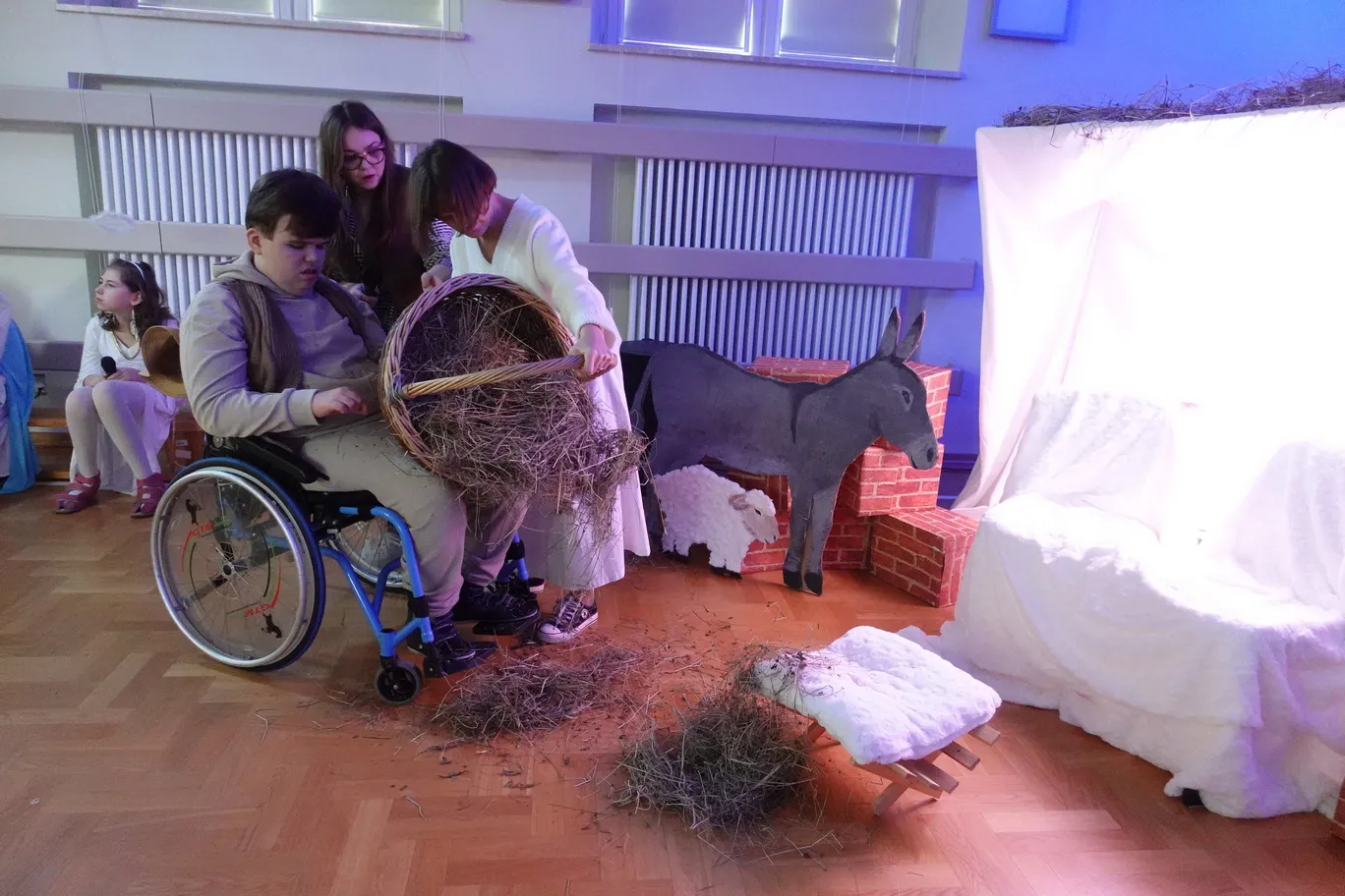 Pasterz wyrzuca siano do żłóbka