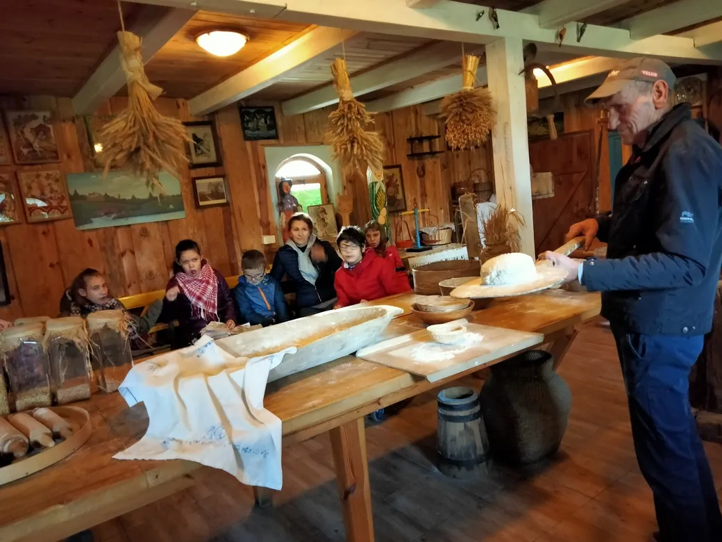 Wycieczki, pikniki i zielone szkoły