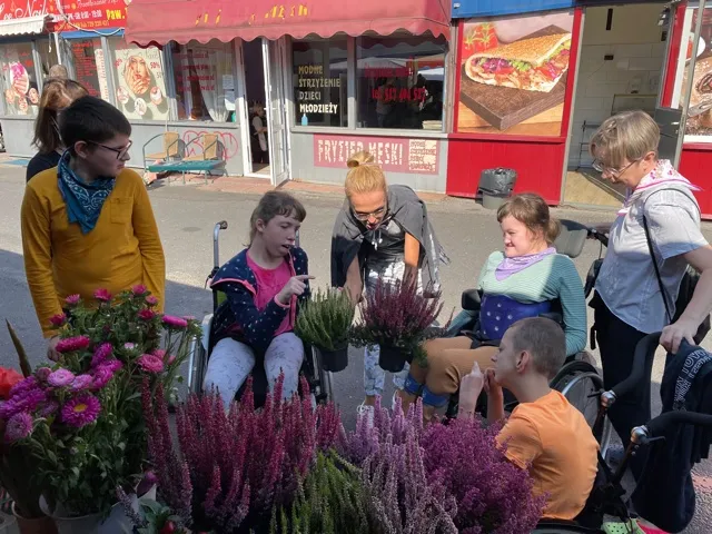 Wycieczki, pikniki i zielone szkoły