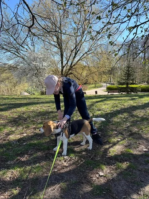 Dziewczynki szukają wiosny