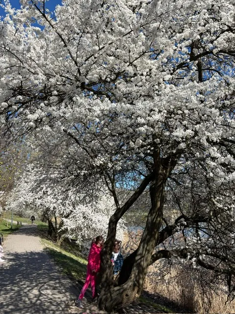 Dziewczynki szukają wiosny