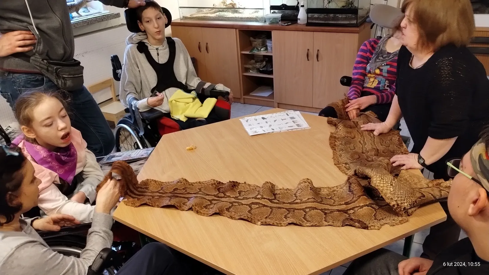 Uczniowie oglądają skórę węża