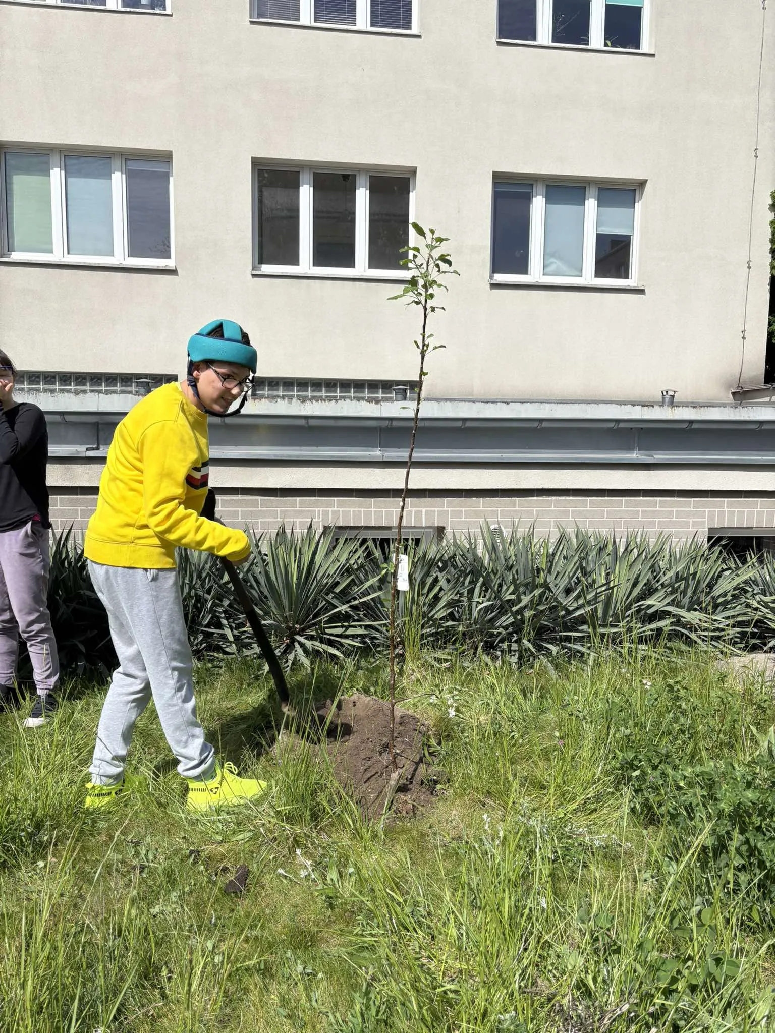Sadzenie jabłonki na podwórku Szkoły Podstawowej numer 327