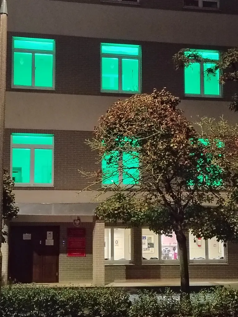 Kampania #17milionów