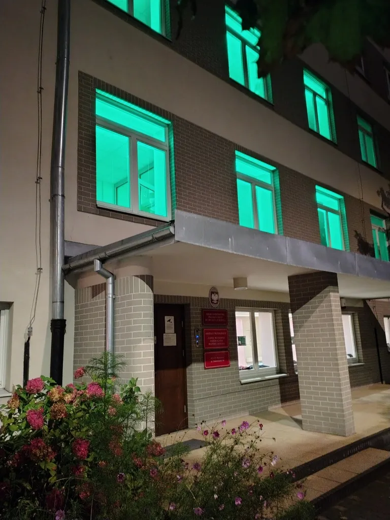 Światowy Dzień Mózgowego Porażenia Dziecięcego