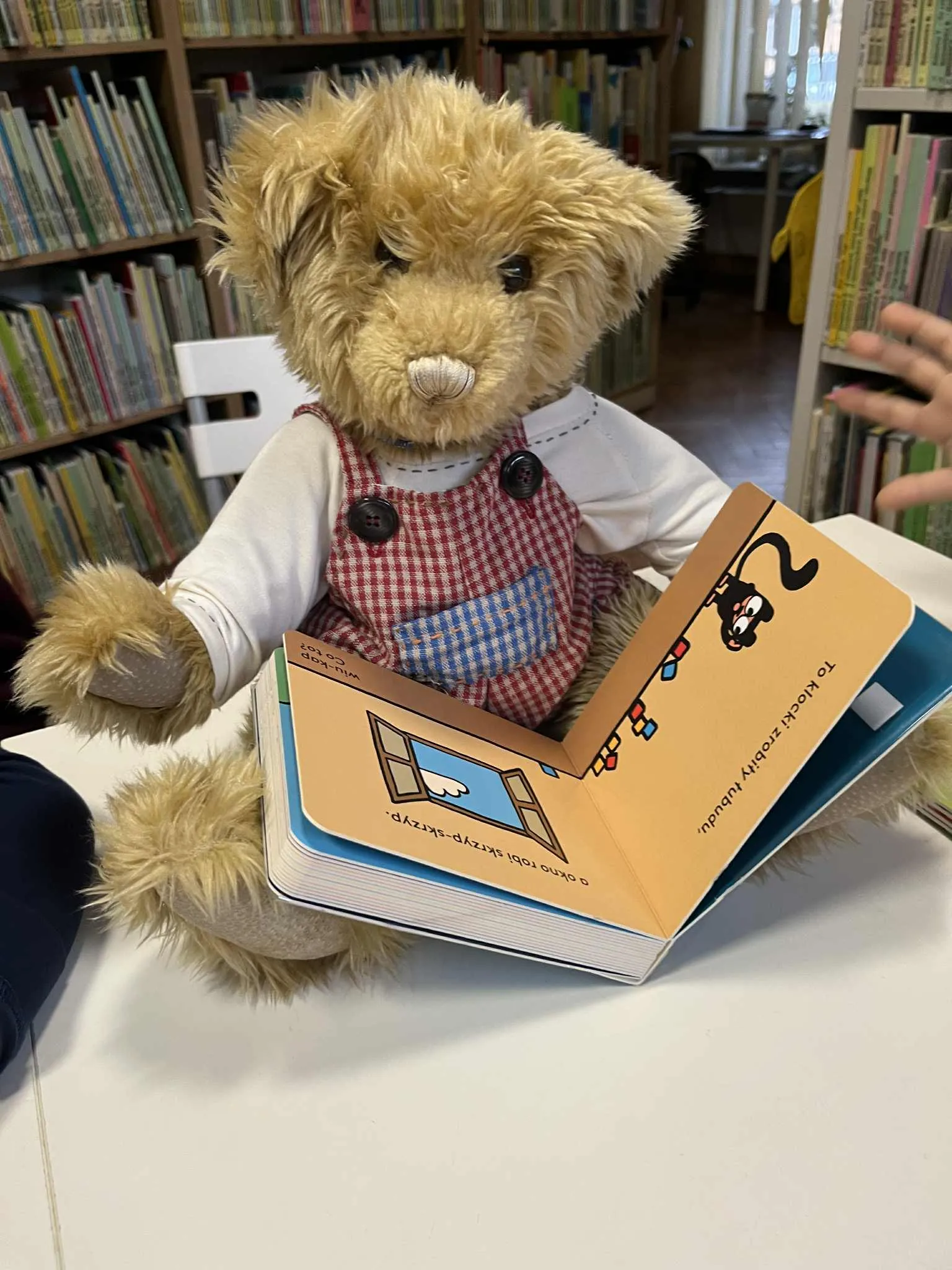 Wyjście do biblioteki