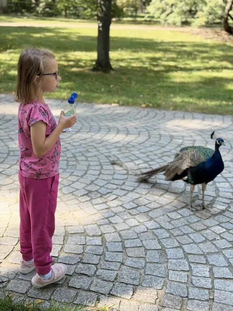 Wycieczka klas 1 do Łazienek.