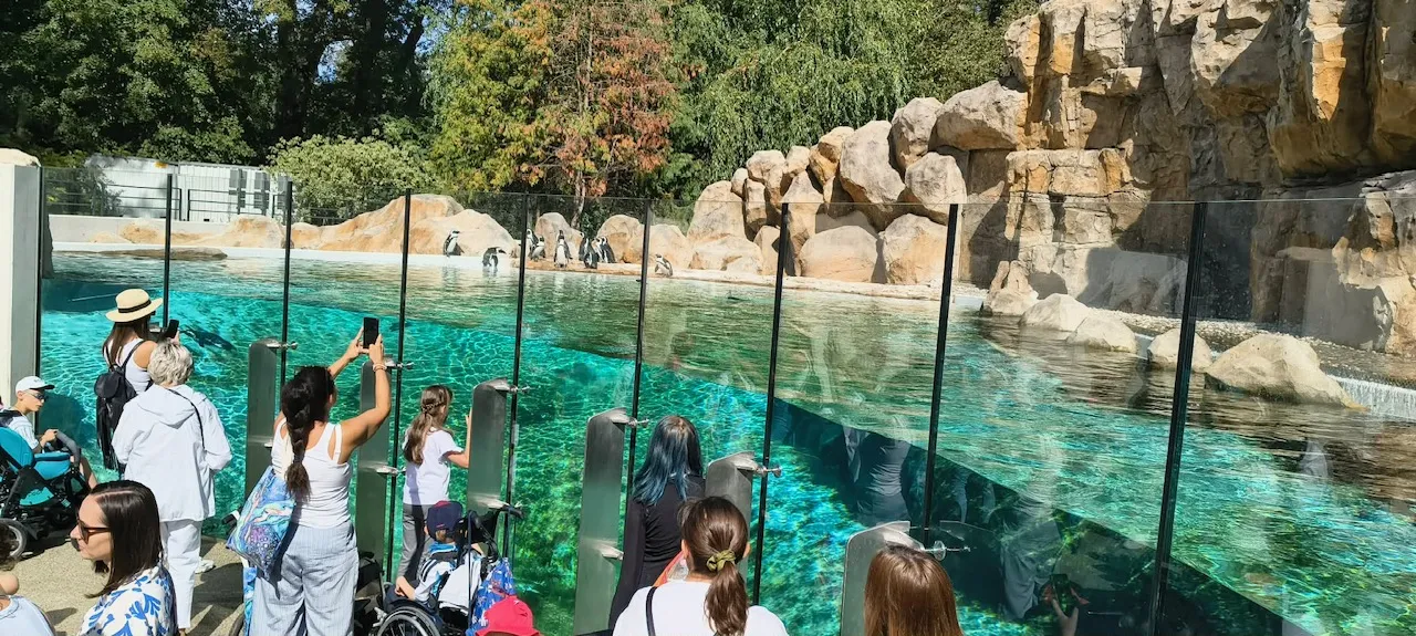 Wycieczka do ZOO klas IIAT i IIA